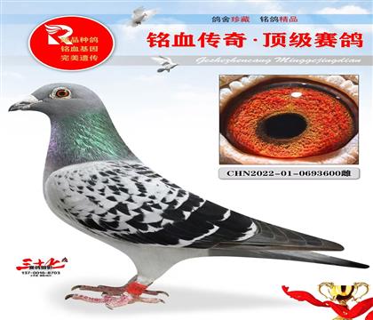 ���⹫��332����������