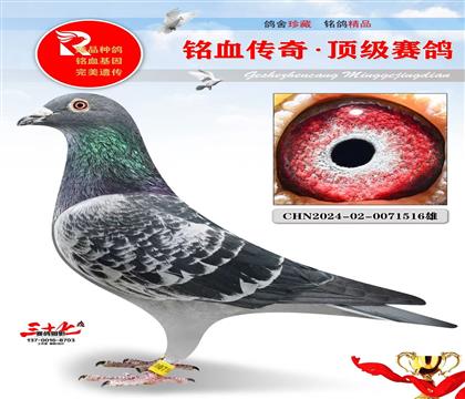 ����˹ԭ��������������