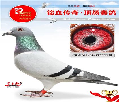 ��õ�����22222