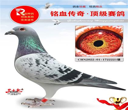 ��õ�����22221