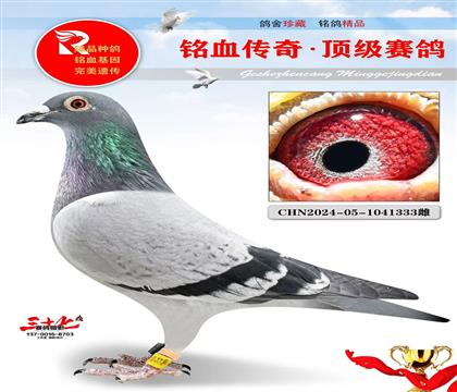 ���ʹ������149��