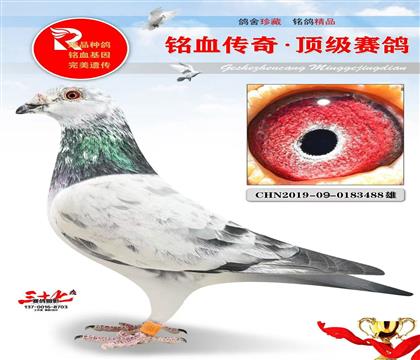 ��������������������λ