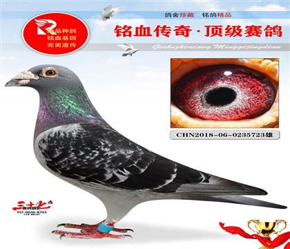 ���ˡ���ɭ˹���ھ�����