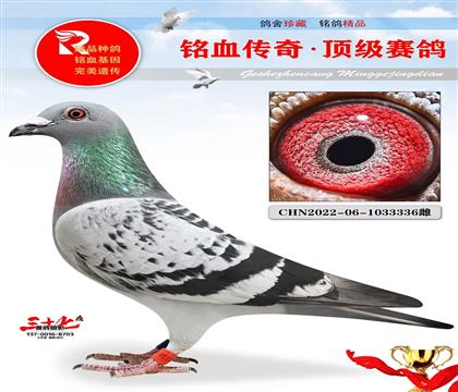 ���������Ǿ�ͬ��ĸ