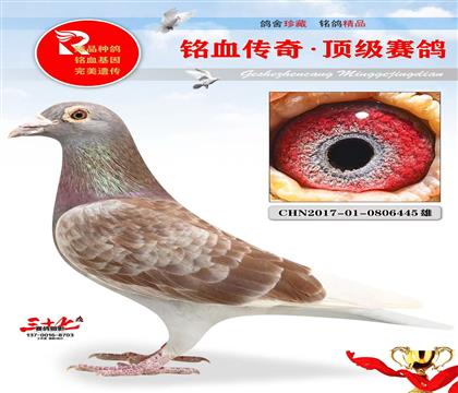 ���;޽�ֱ��