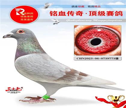 ���ǲ��ˡ��ú�Ż�Ѫ