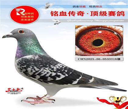 ��������š�����Ӵ�