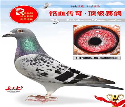 �������������Ӵ�