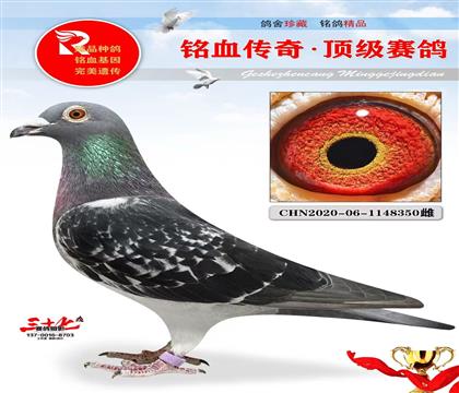 ��Ǽ��塢������������