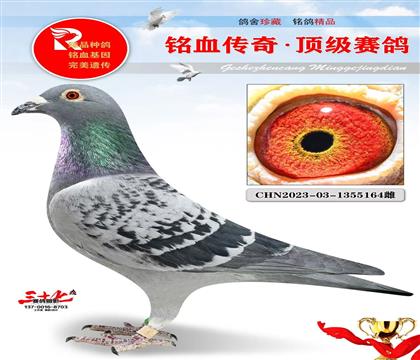 �𻷿�����