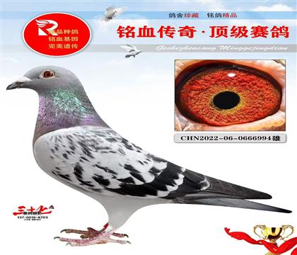 ���¹���ֱ��