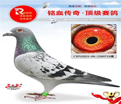 �������ᡢ��ϣ��ֱ��