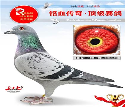 ����ͼ��˹ֱ������Ƽ�