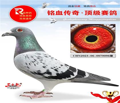 ����ͼ��˹ֱ��