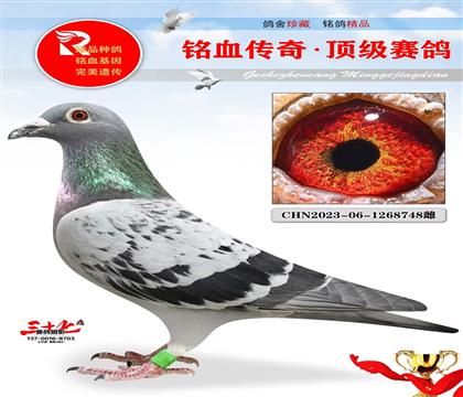 600�ھ�ͬ��ĸ��ɽ��ר��