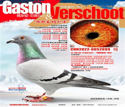 KBDB����11λֱŮ