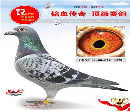 ��������Ż�Ѫ���ر��