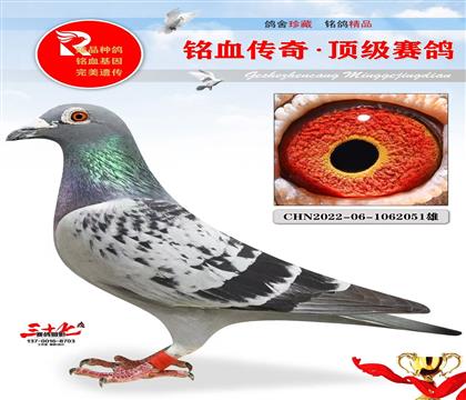 600�ھ�ͬ��ĸ