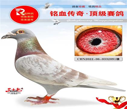 ���305���塢�ر�ʵս