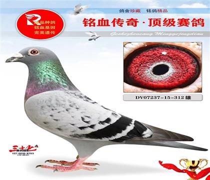 �ٶȴ��桢���˹ֱ��