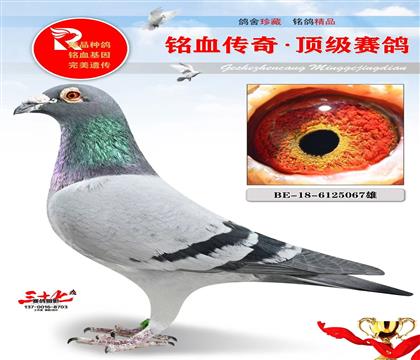 ղ��˹802ֶ�ӡ�����3472��8��