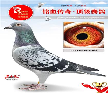 �������������ء�ɣ��ʿ��ĸ��