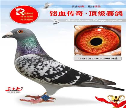 ����121�������ĸ���