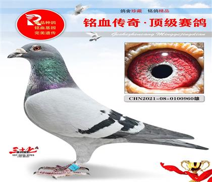 9992��40000�� ֱ�������