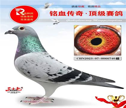 �ź͹���6��ͬ��ĸ