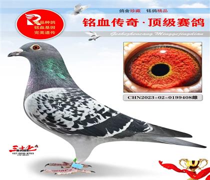 ����ԭ�������������Ӯ