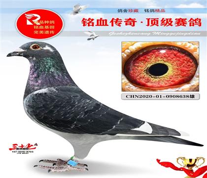 �϶฻�ܼ���