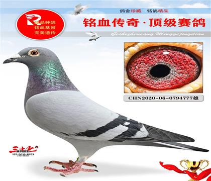 �����޵ж��ػ�Ѫ777