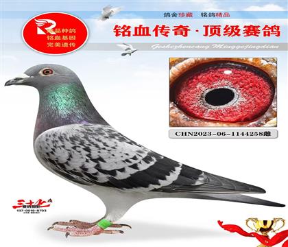 �������ܻƽ��ֱŮ���ǳ���