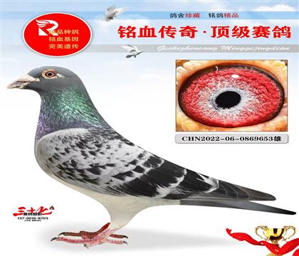 ����˹����������õ�ɣ��ʿ