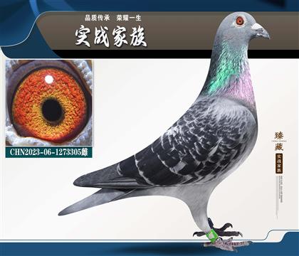 �ش����˵�����˹Xղɭ�ϰ���