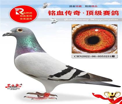 ���ɸꡢ�ص�