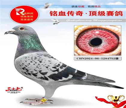 �ٶȴ����Ѫֱ��