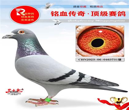 �������һƽ��ֱ��