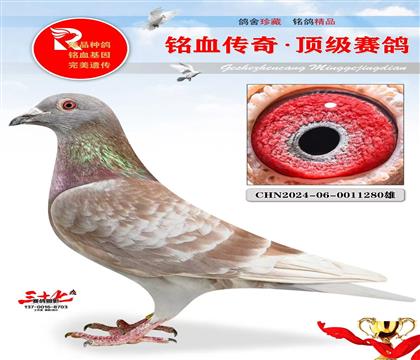 �ٷְٷ��ǲ���