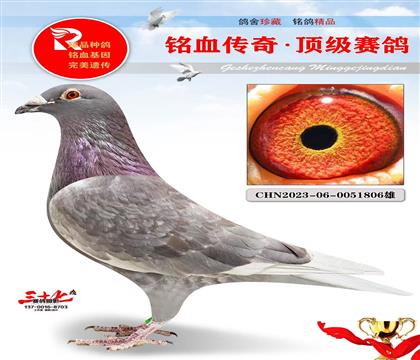 ��õ����̡�����ھ�ֱ��