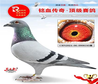 ���ɸꡢ��Ѫ���ر��