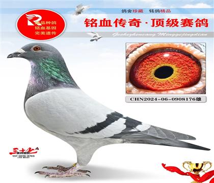 ���ɸꡢ�ر��