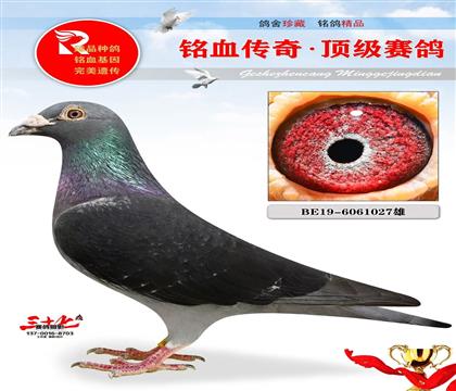 Ұ��������������