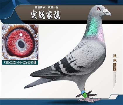 �����ϲ�����쫷���塱