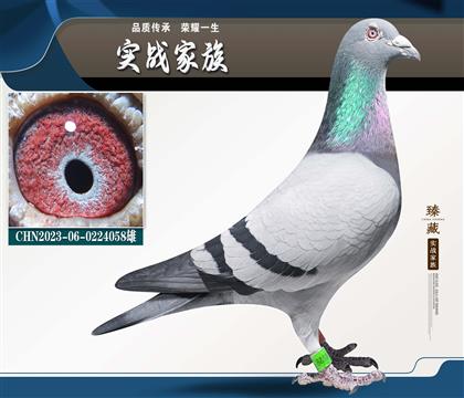 ����վ���� 쫷����