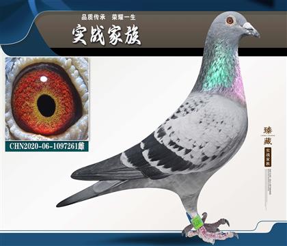 �������ٶ����� Ħ��˹���� �ھ�