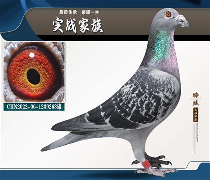 ������ ��������ʤ����