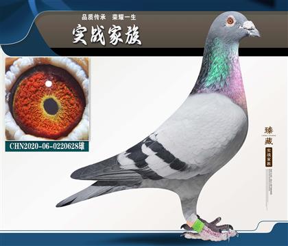 �Ϸɸ�ֱ��XֱŮ