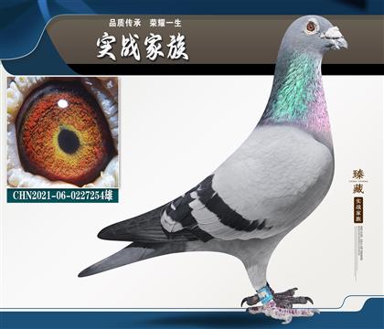 �������� �ɸ�