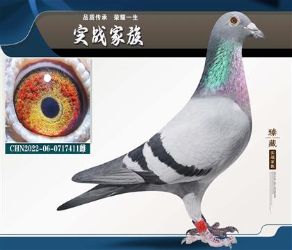 ��ѷɸ� 5��